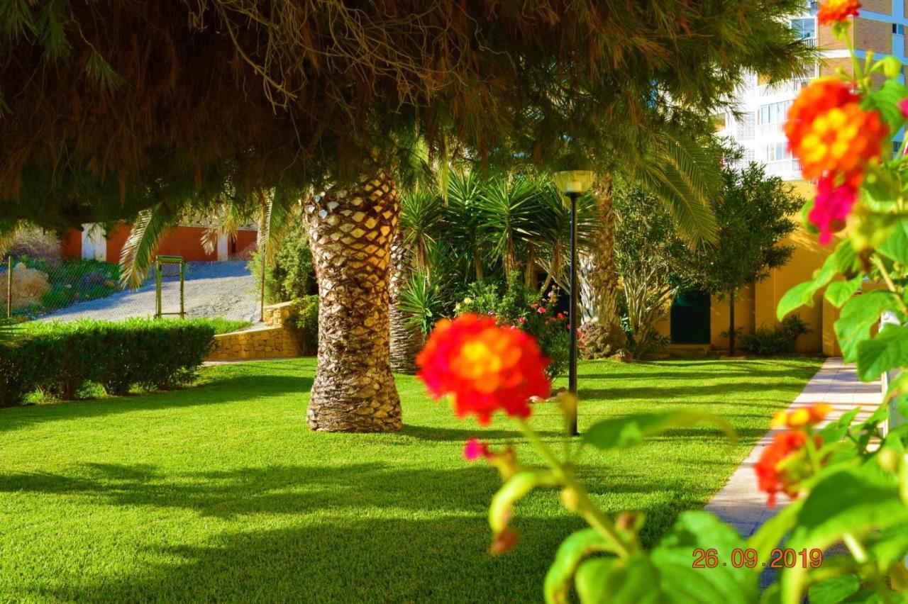Bungalo En Primera Linea De La Playa El Campello Esterno foto