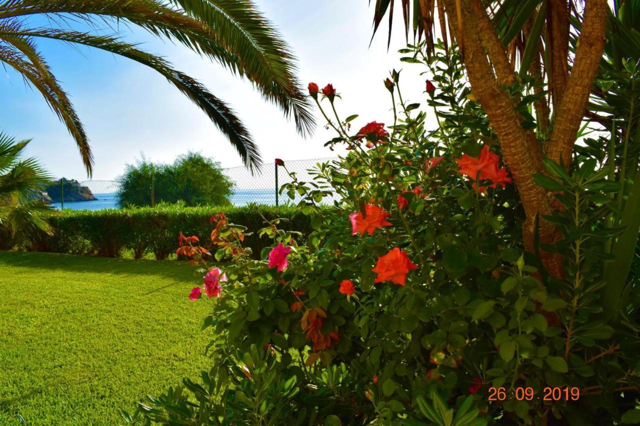 Bungalo En Primera Linea De La Playa El Campello Esterno foto